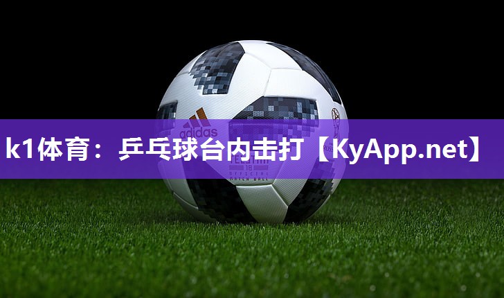 k1体育:乒乓球台内击打
