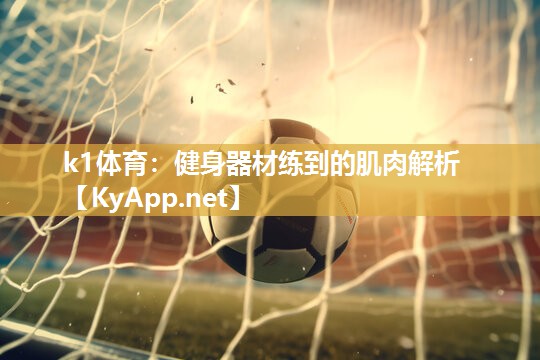 k1体育:健身器材练到的肌肉解析