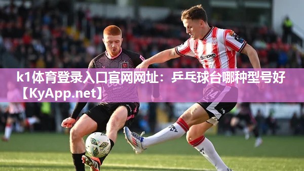 k1体育登录入口官网网址:乒乓球台哪种型号好