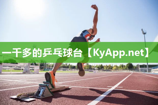 一千多的乒乓球台