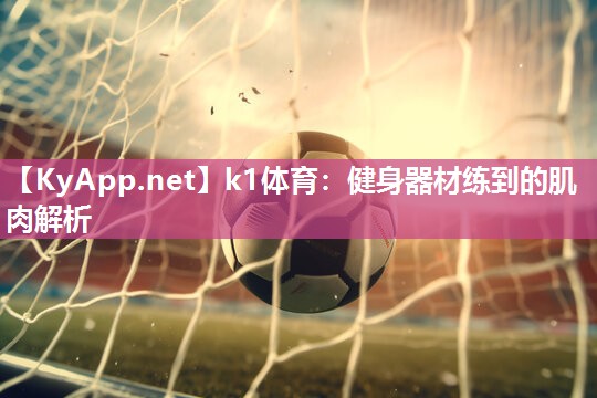 健身器材练到的肌肉解析