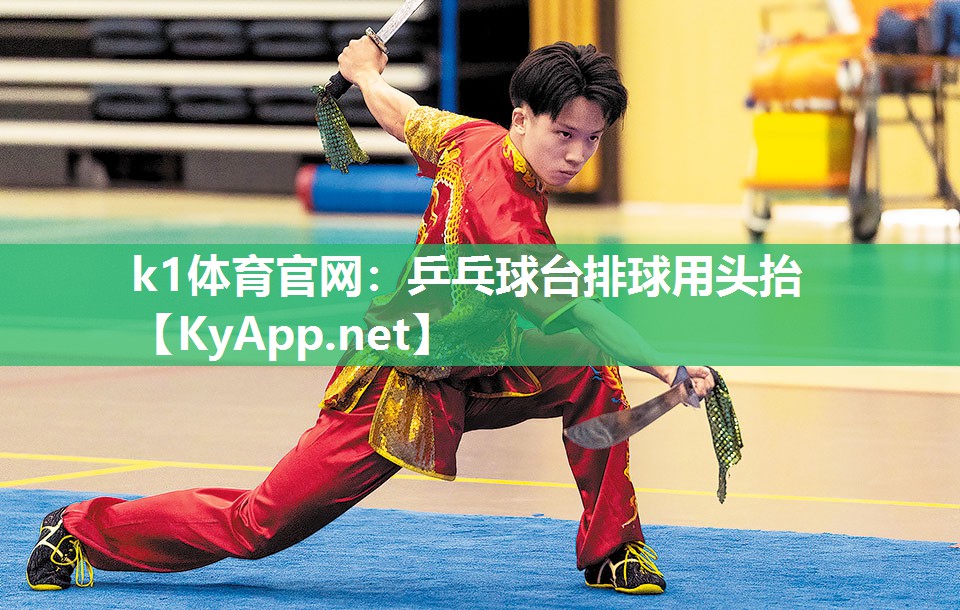 乒乓球台排球用头抬