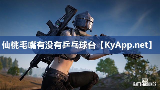 仙桃毛嘴有没有乒乓球台