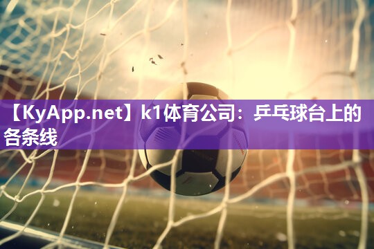 乒乓球台上的各条线